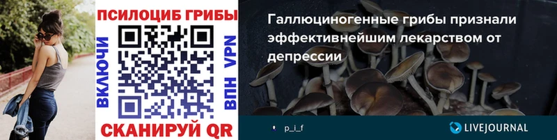 как найти   Алапаевск  Псилоцибиновые грибы мицелий 